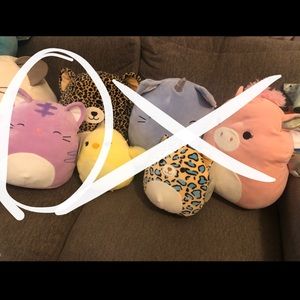 Squishmallow Bundle for ShellSommers